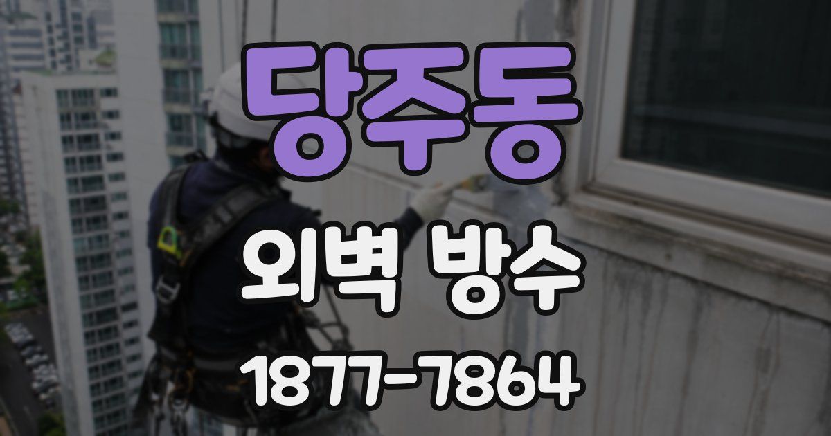 당주동 외벽 방수