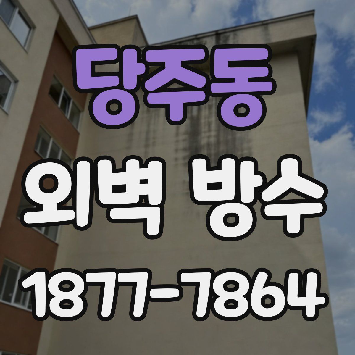 당주동 외벽 방수