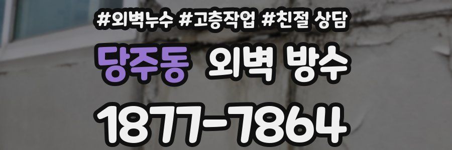 당주동 외벽 방수