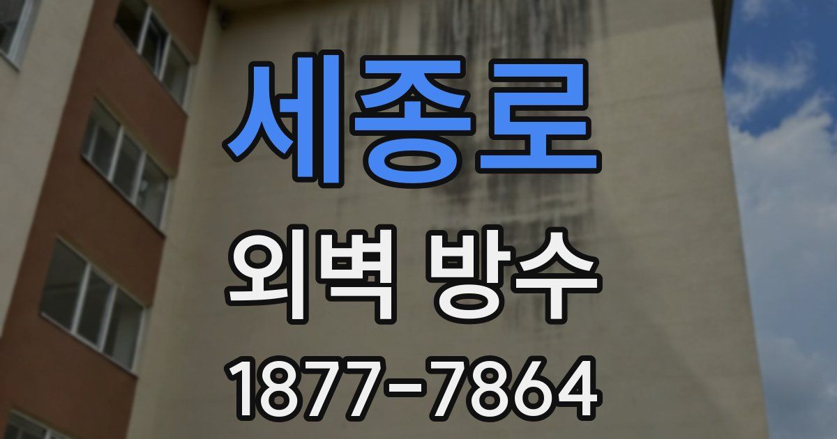 세종로 외벽 방수