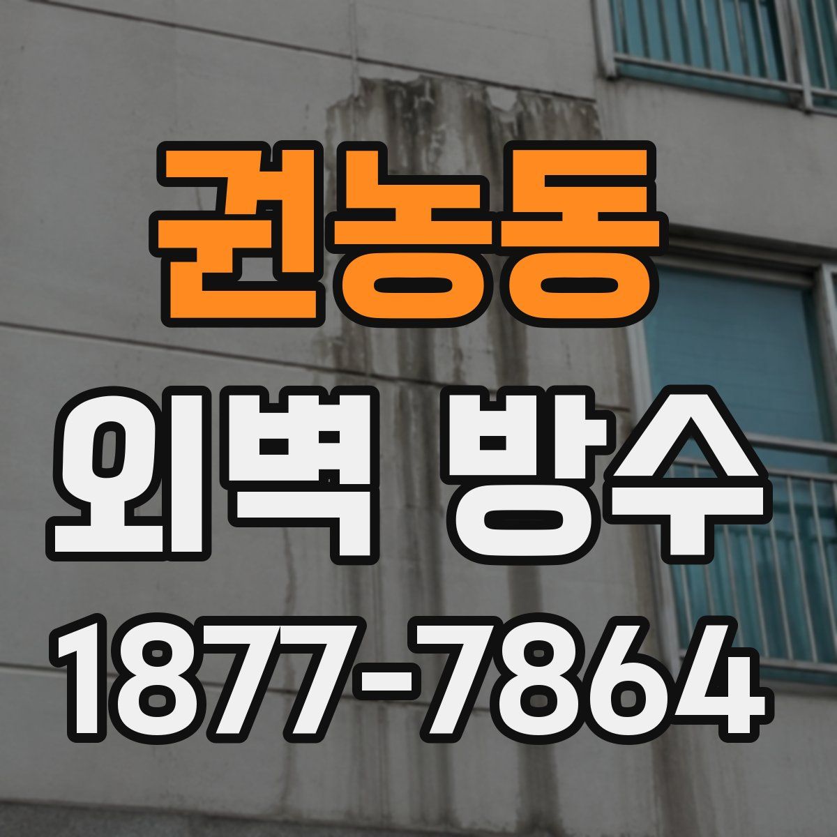 권농동 외벽 방수