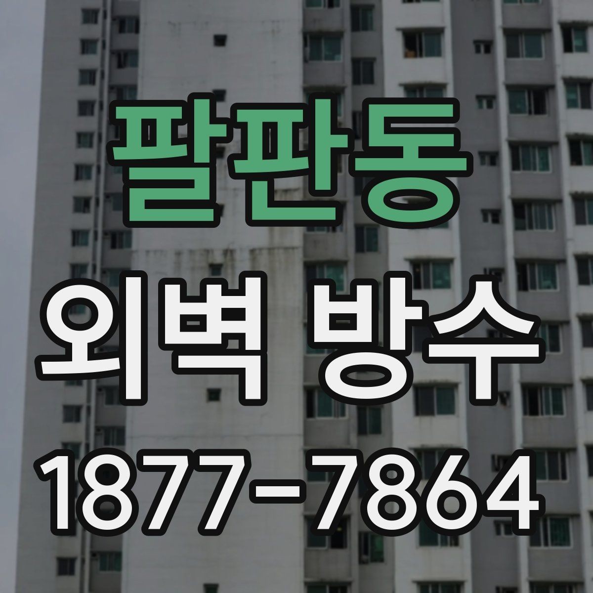 팔판동 외벽 방수 시기와 계절별 진행 팁