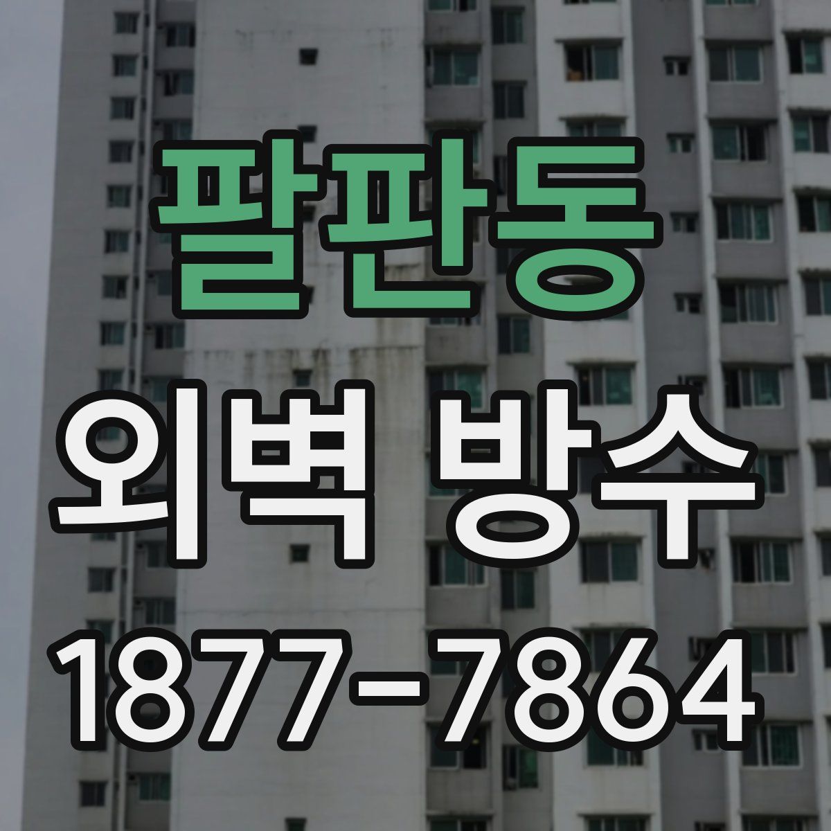 팔판동 외벽 방수