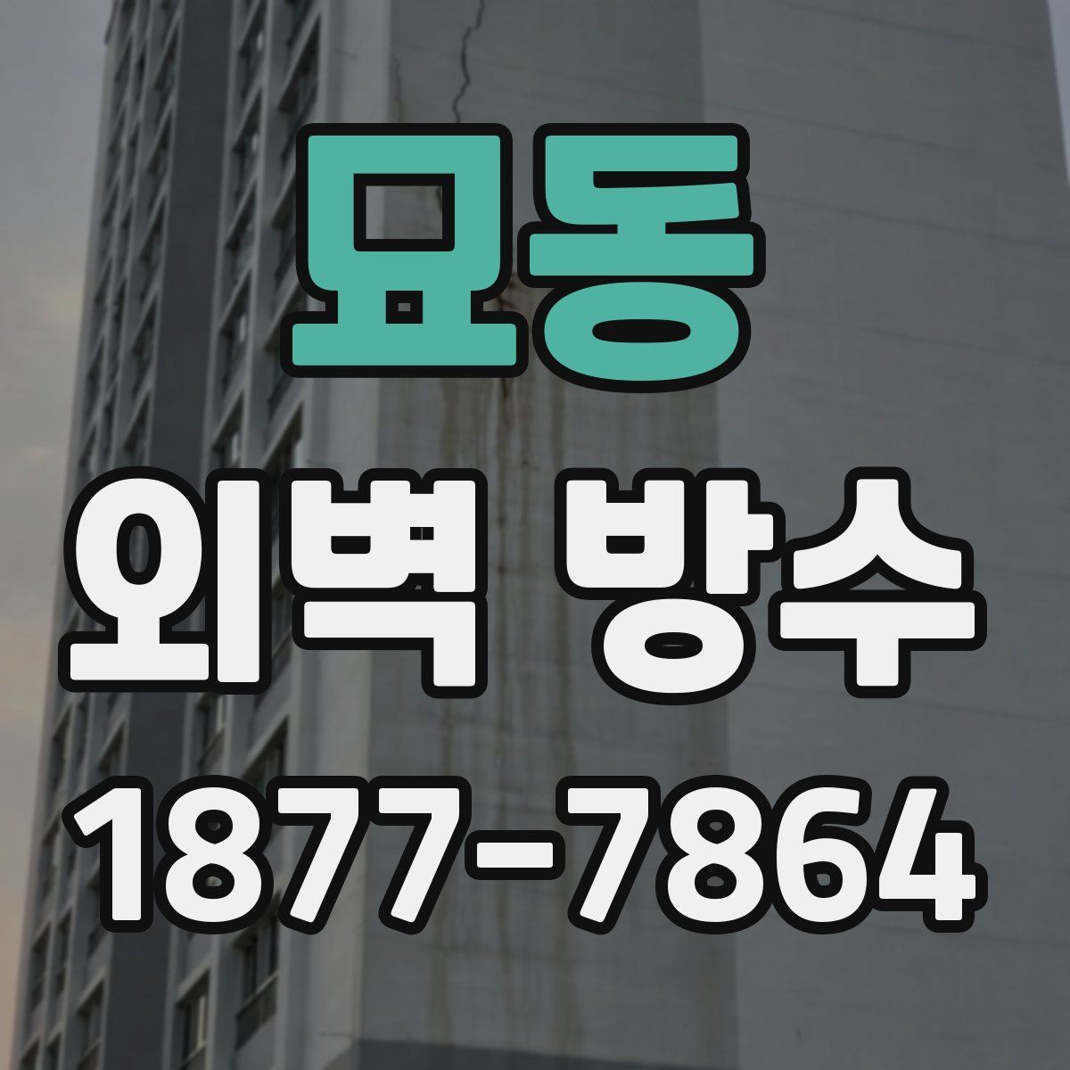 묘동 외벽 방수