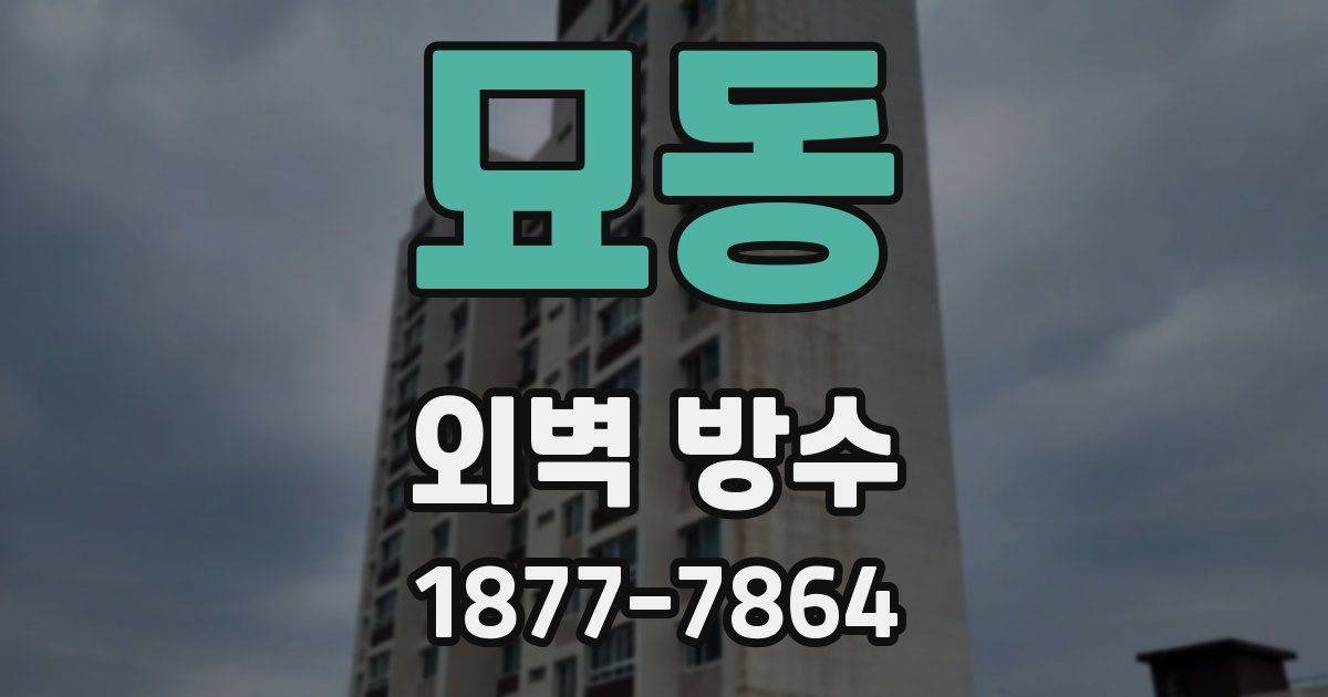 묘동 외벽 방수