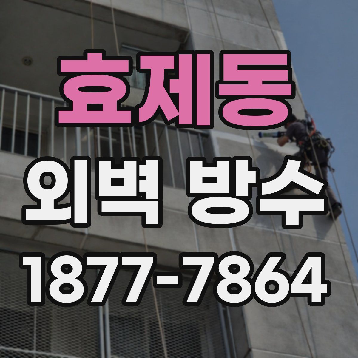 효제동 외벽 방수