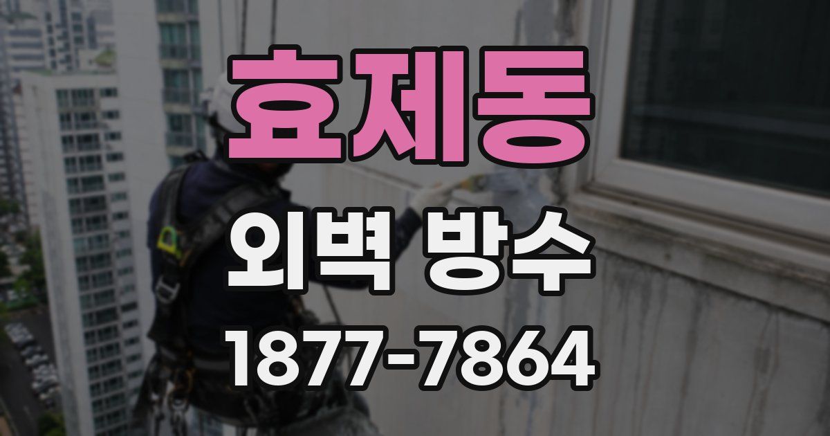 효제동 외벽 방수