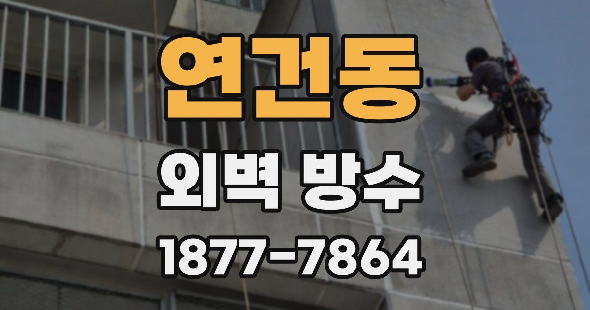 연건동 외벽 방수