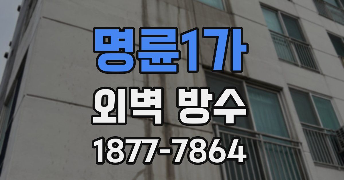 명륜1가 외벽 방수