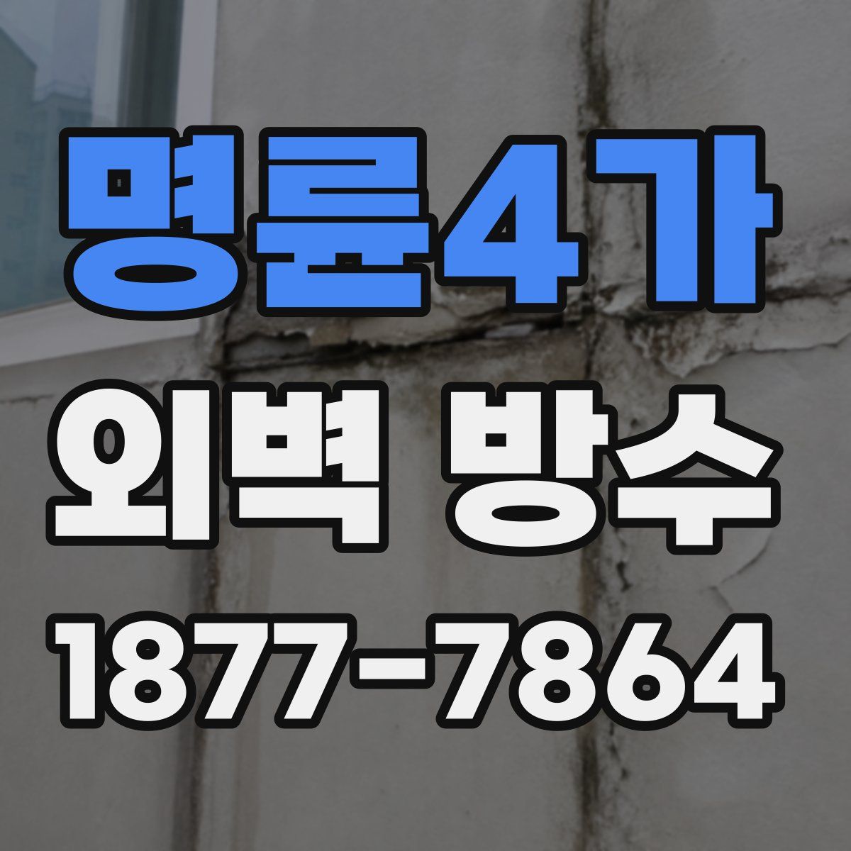명륜4가 외벽 방수
