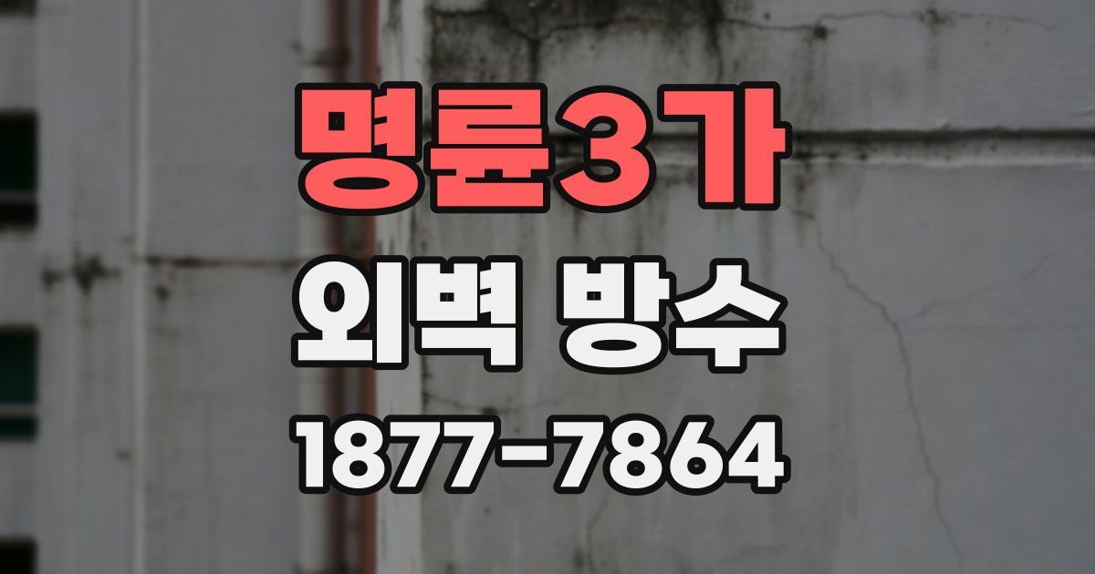 명륜3가 외벽 방수