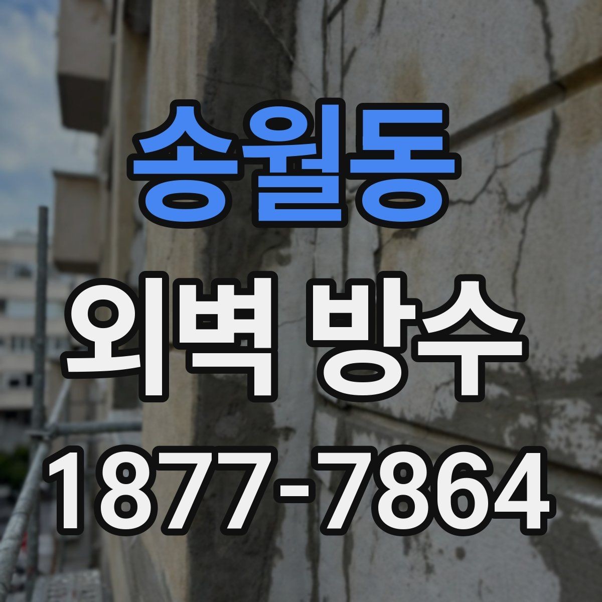 송월동 외벽 방수 보수와 전체 시공의 차이
