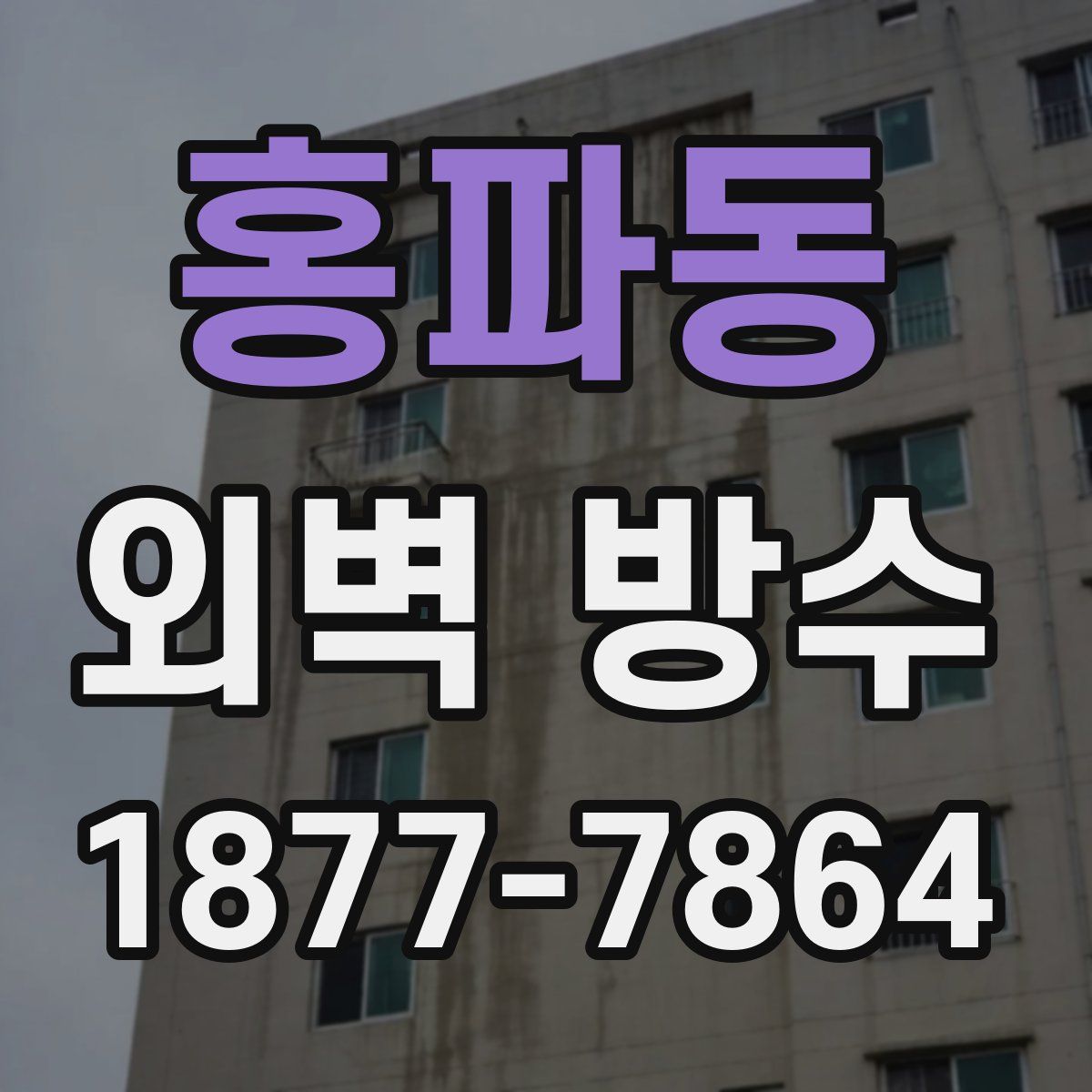홍파동 외벽 방수