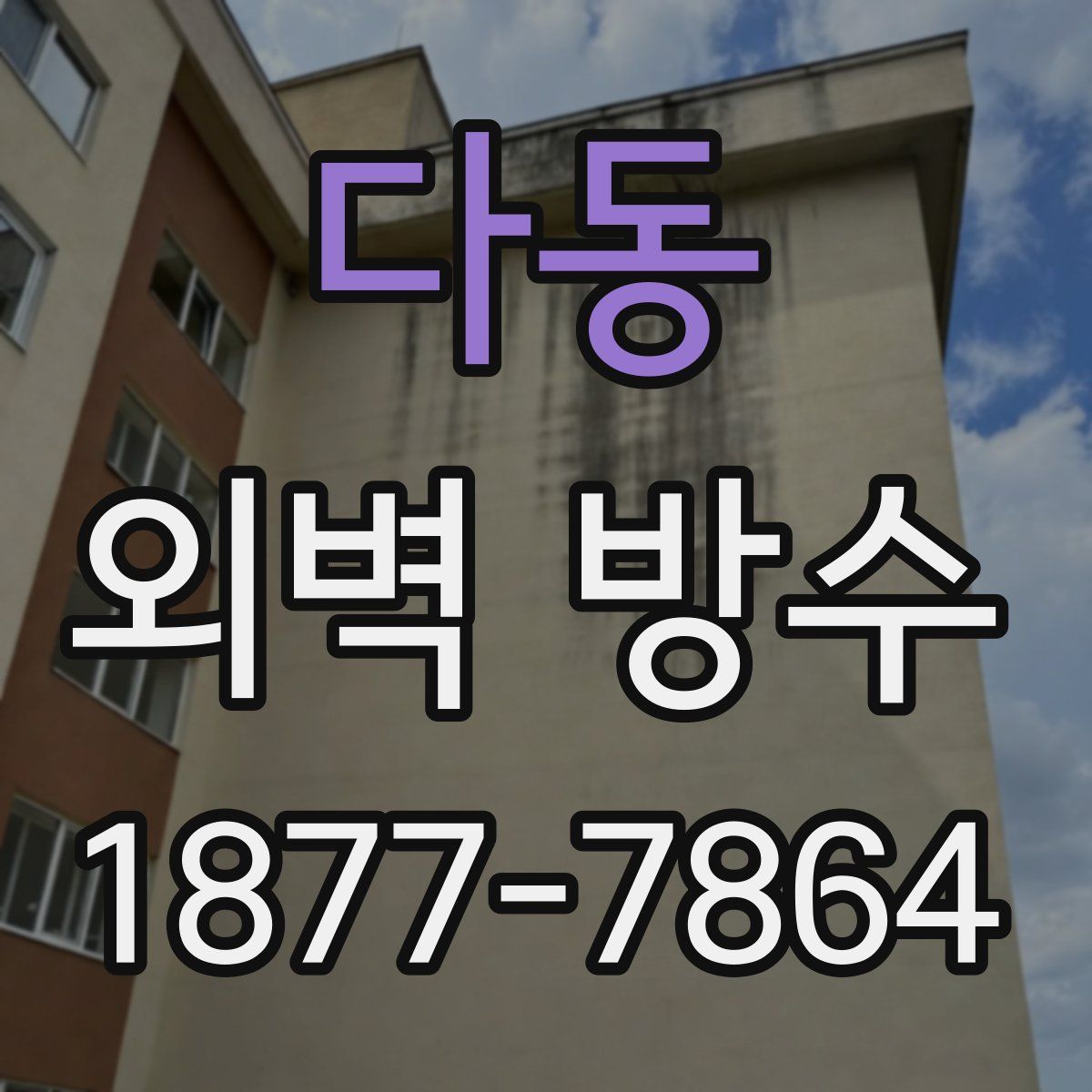 다동 외벽 방수