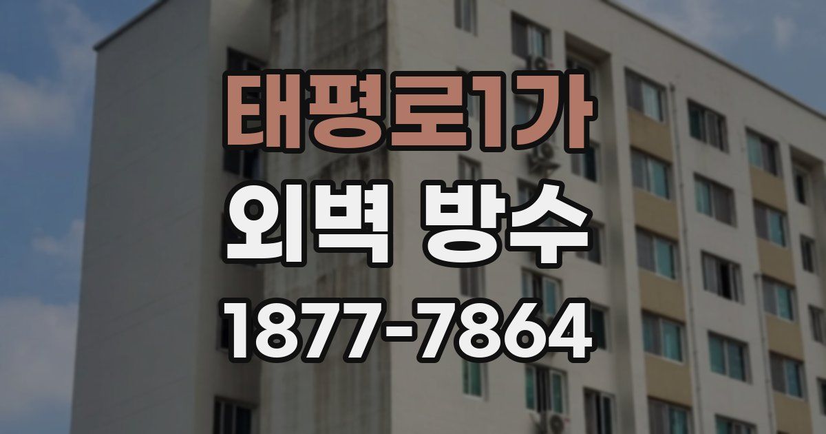 태평로1가 외벽 방수