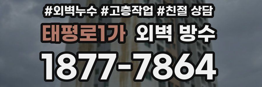 태평로1가 외벽 방수