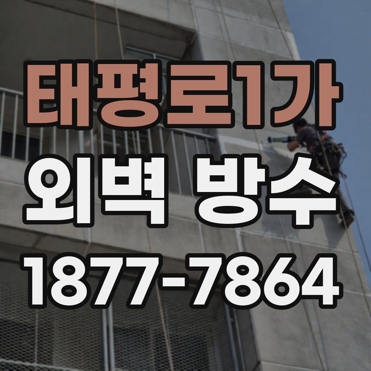 태평로1가 외벽 방수