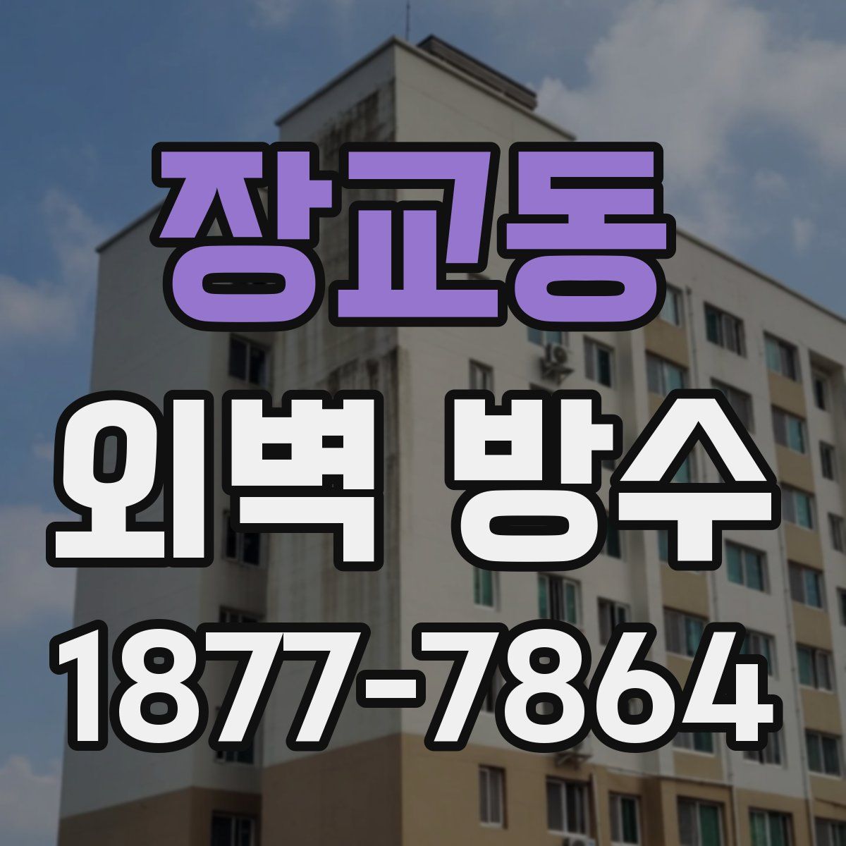 장교동 외벽 방수