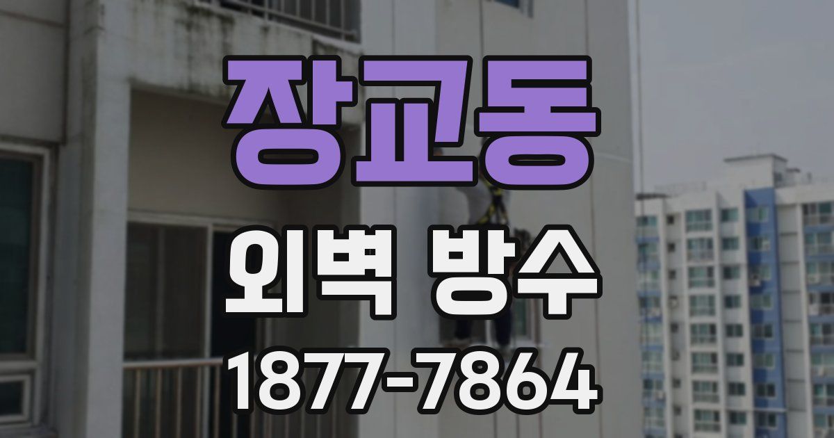 장교동 외벽 방수