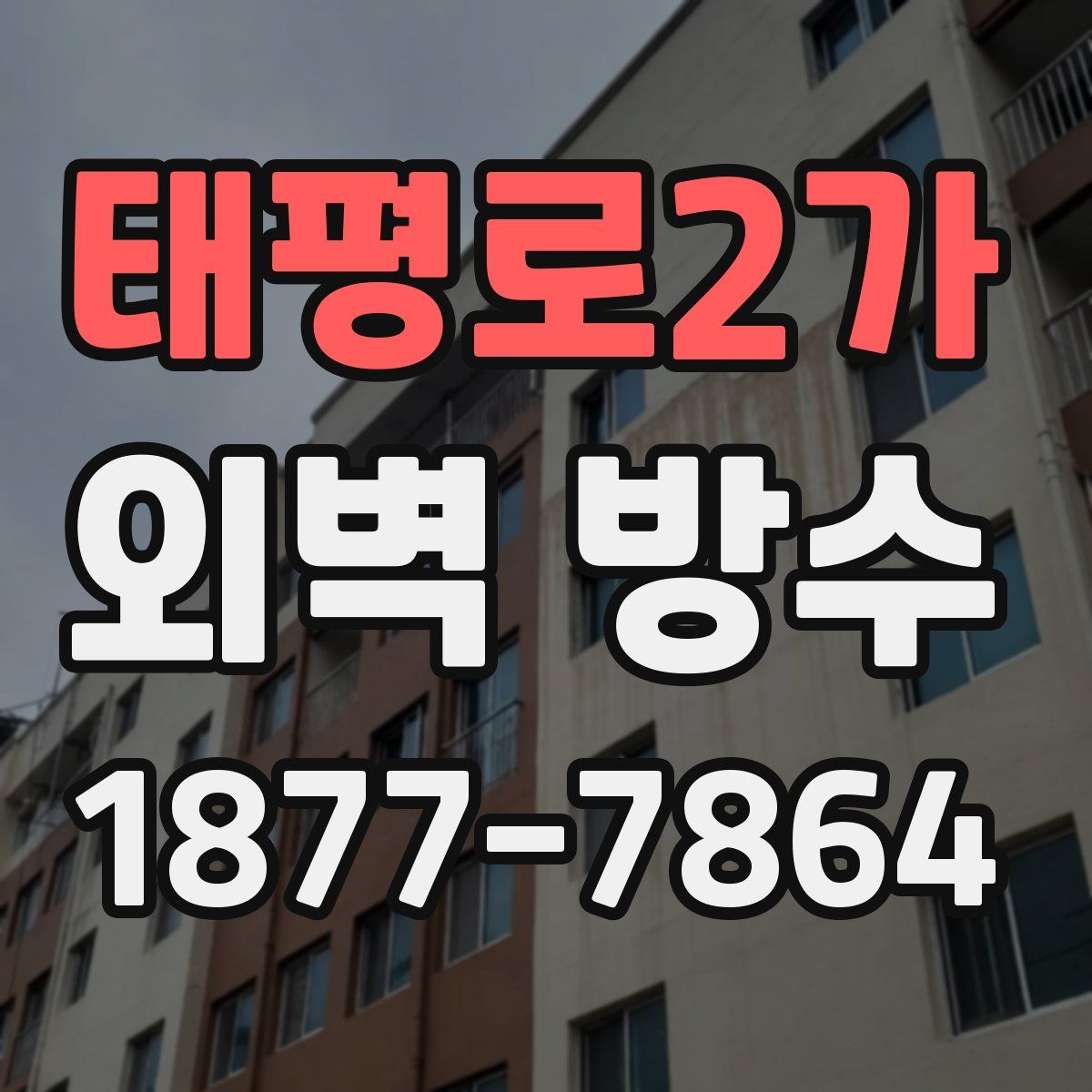 태평로2가 외벽 방수