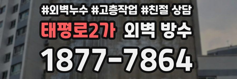 태평로2가 외벽 방수
