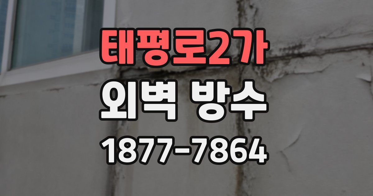 태평로2가 외벽 방수