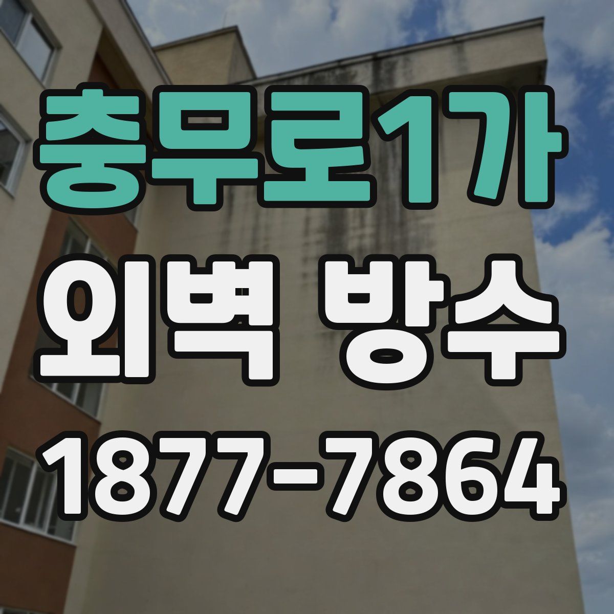 충무로1가 외벽 방수