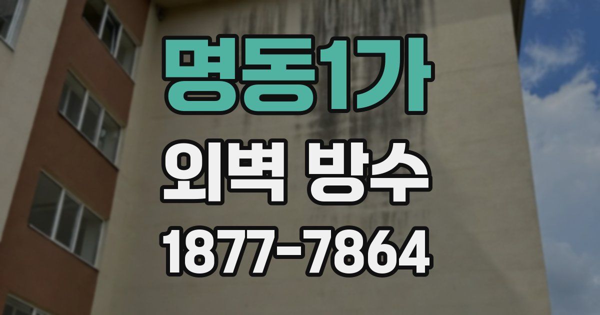 명동1가 외벽 방수