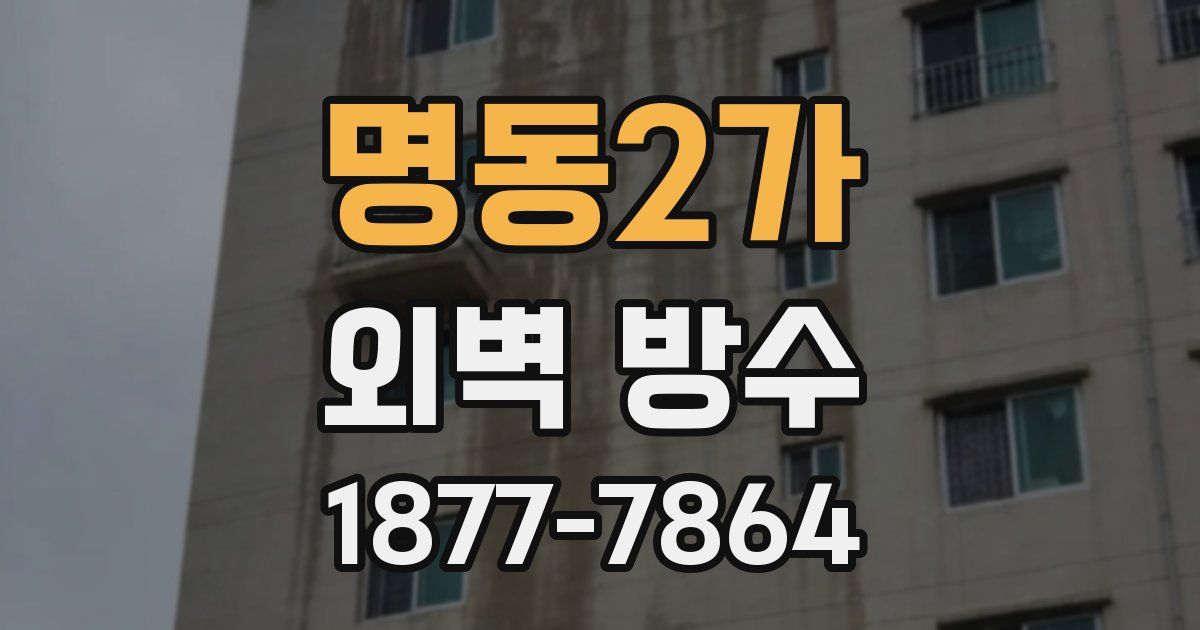 명동2가 외벽 방수