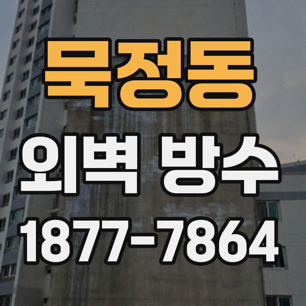 묵정동 외벽 방수