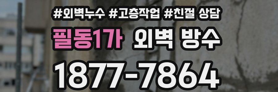 필동1가 외벽 방수
