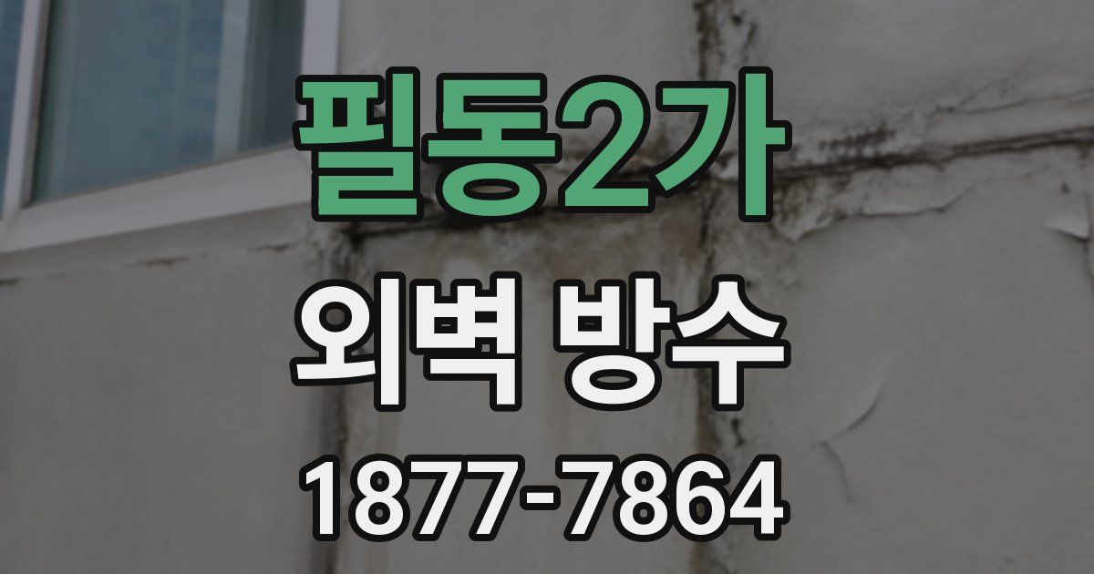 필동2가 외벽 방수