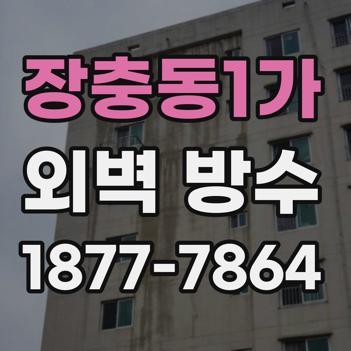 장충동1가 외벽 방수