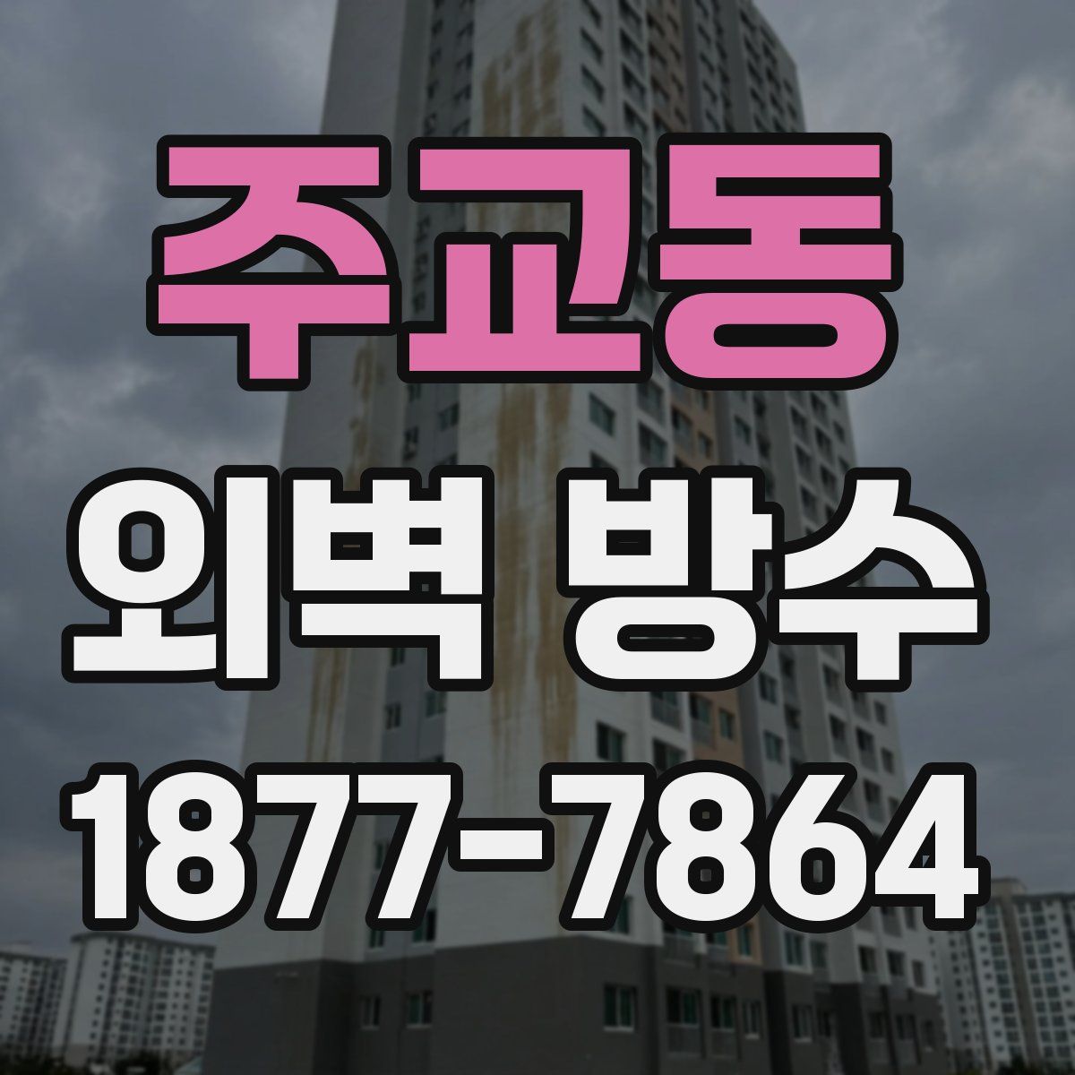 주교동 외벽 방수