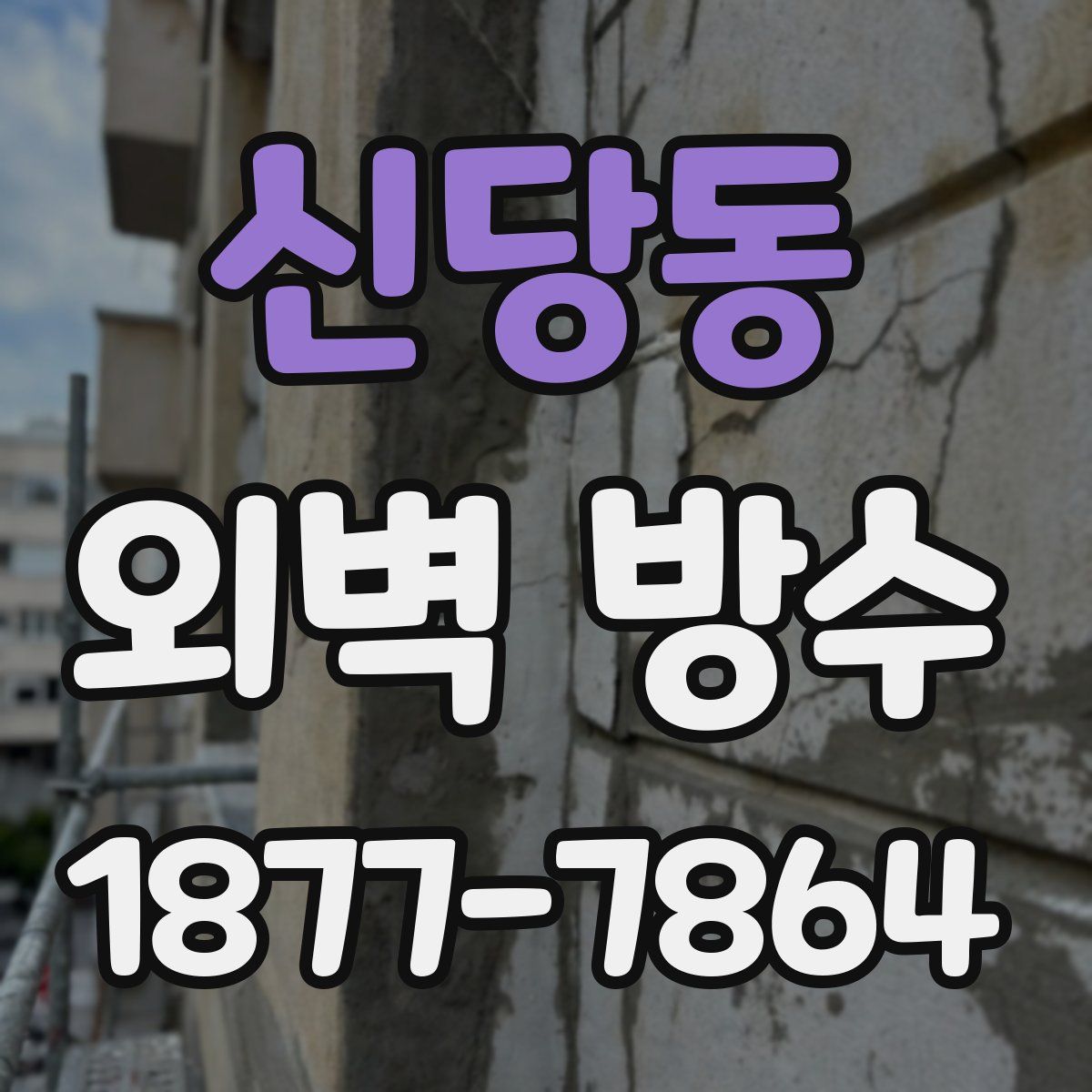 신당동 외벽 방수