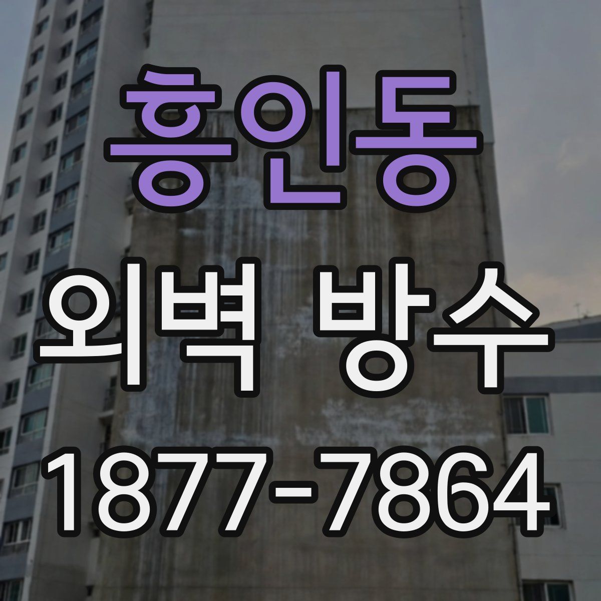 흥인동 외벽 방수