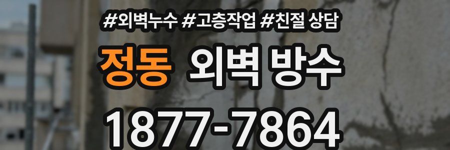 정동 외벽 방수
