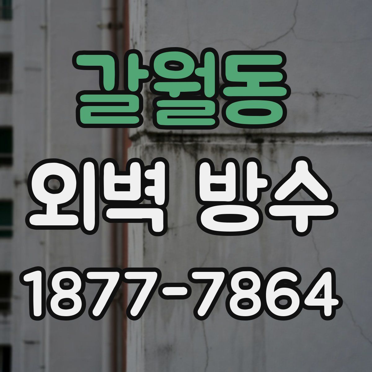 갈월동 외벽 방수
