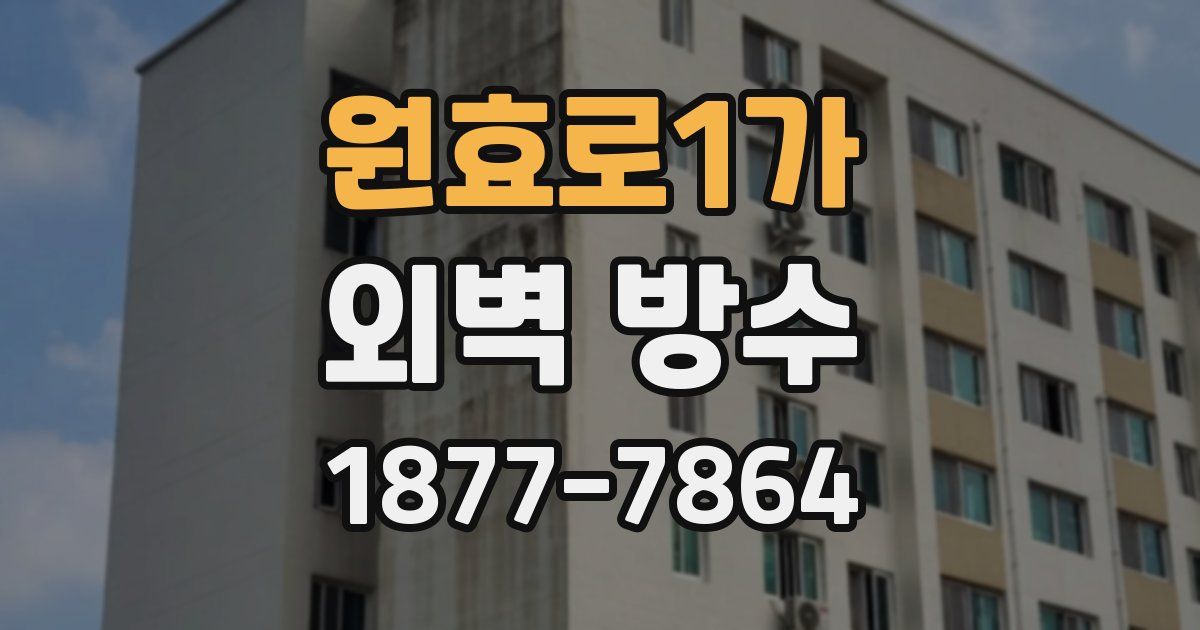 원효로1가 외벽 방수