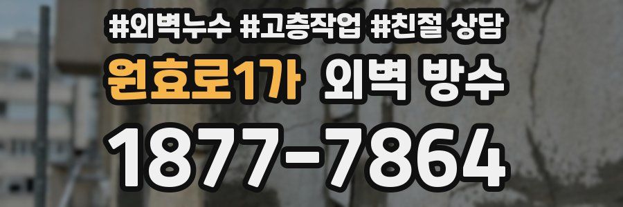 원효로1가 외벽 방수