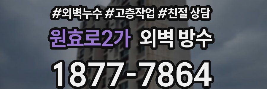 원효로2가 외벽 방수