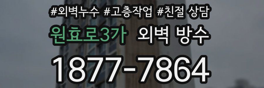 원효로3가 외벽 방수
