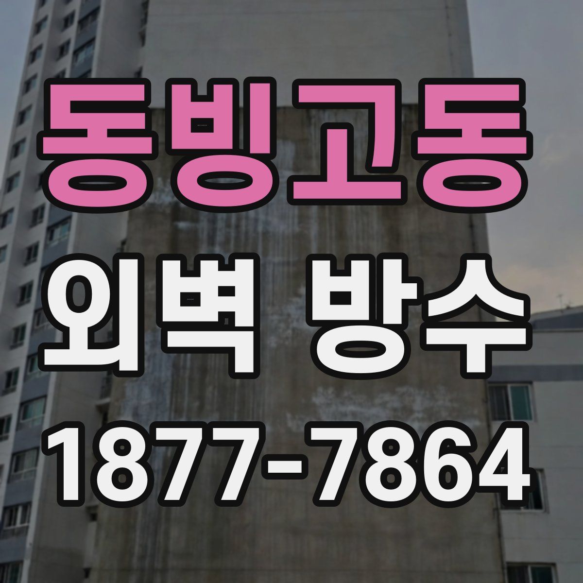 동빙고동 외벽 방수