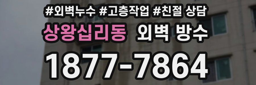 상왕십리동 외벽 방수