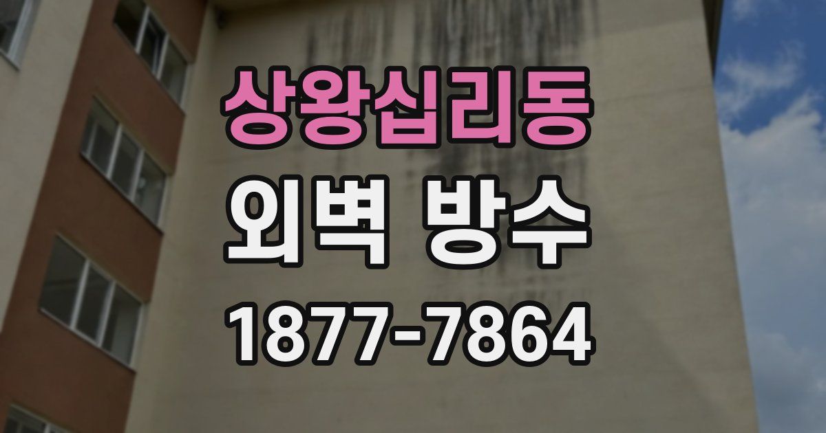상왕십리동 외벽 방수