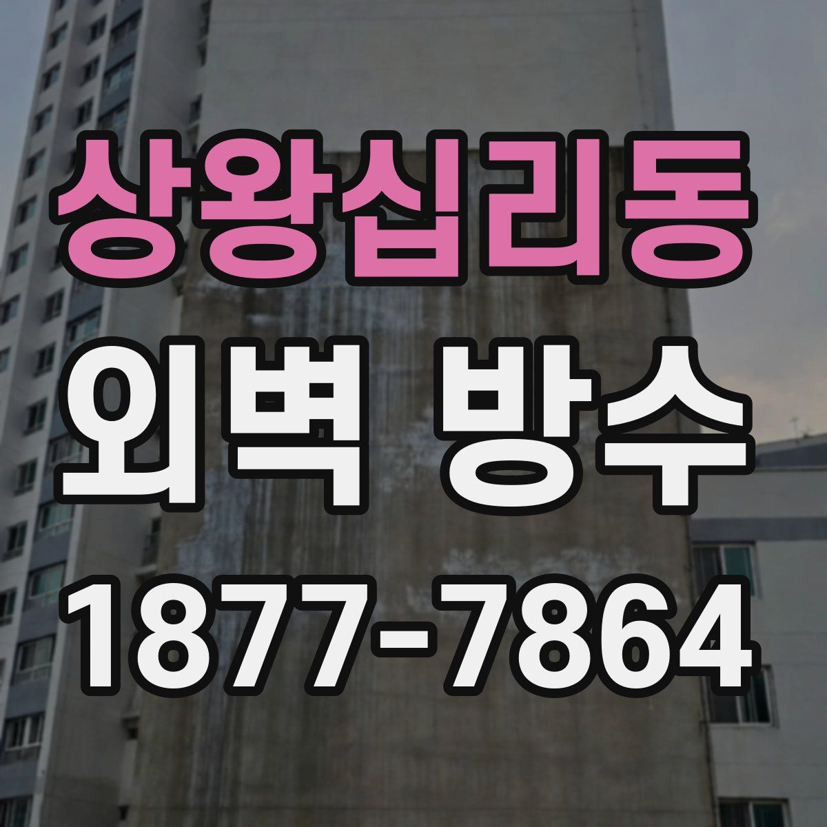 상왕십리동 외벽 방수
