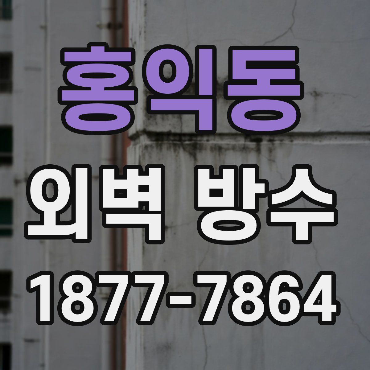홍익동 외벽 방수