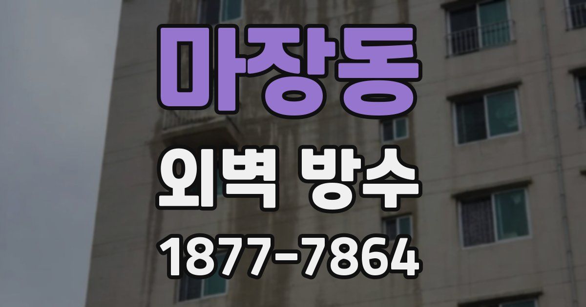 마장동 외벽 방수