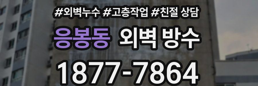 응봉동 외벽 방수