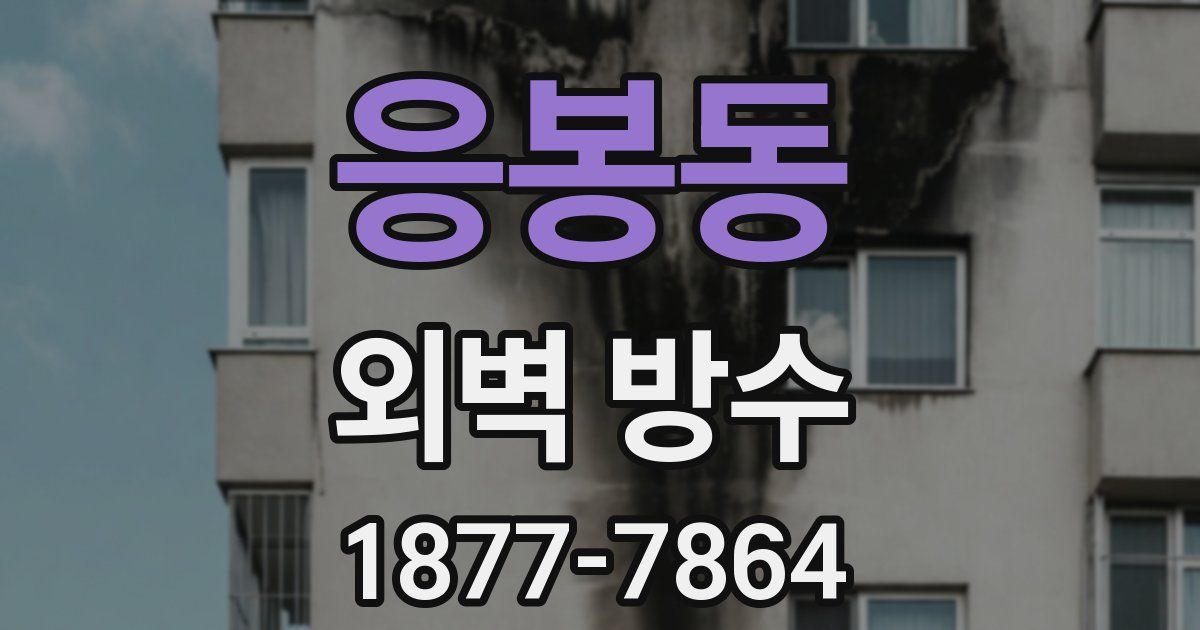 응봉동 외벽 방수